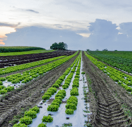 IoT-Agriculture-Sensors-App-Tile